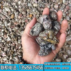 液壓龍門(mén)剪生產(chǎn)線(xiàn)視頻